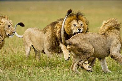 BioWare：《质量效应》更适合拍电视剧 而不是电影